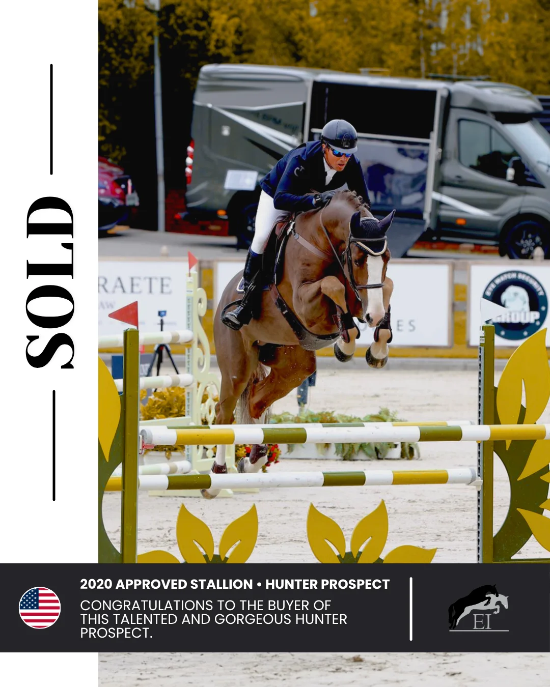 Equestrian International post 1