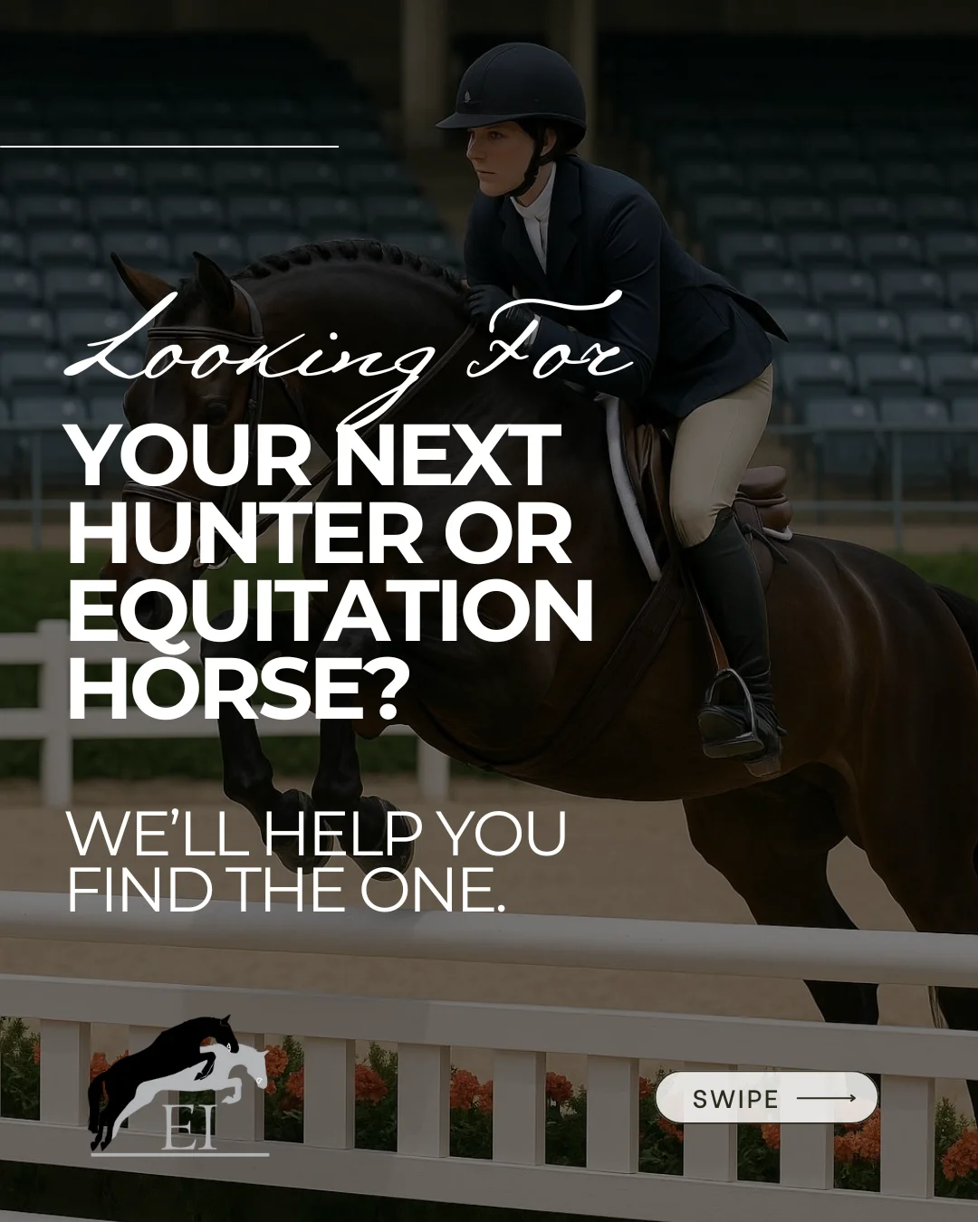 Equestrian International post 3