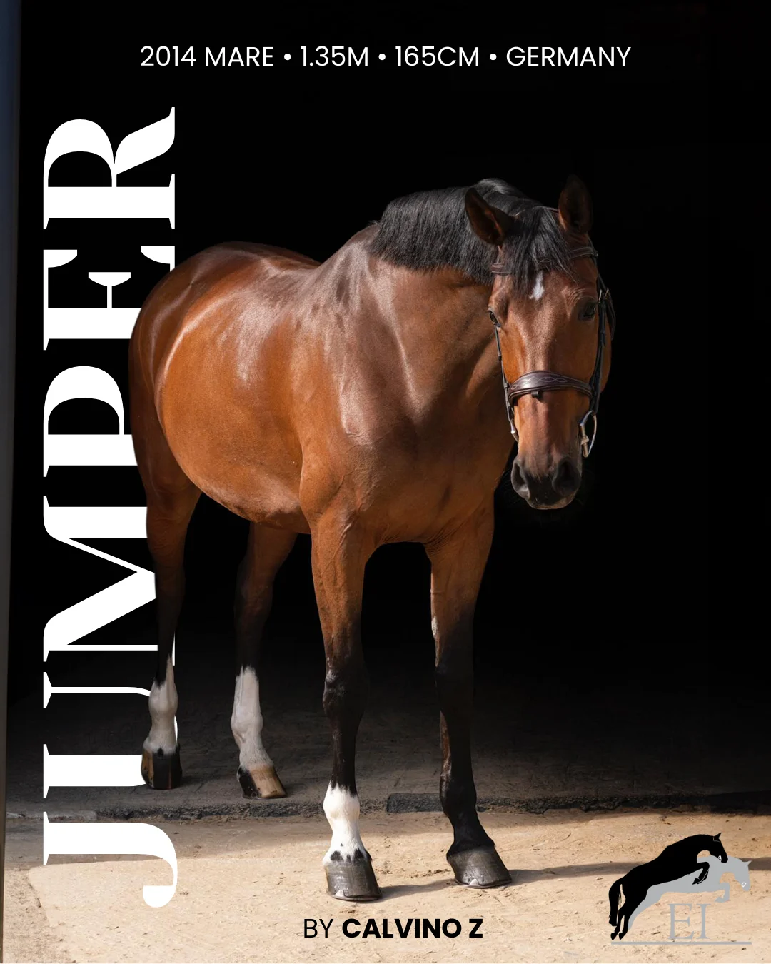 Equestrian International post 4